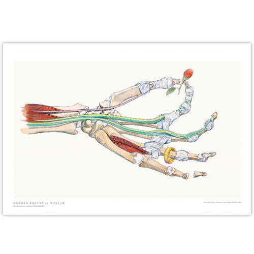 David Macaulay: Parts of a Hand Signed Print