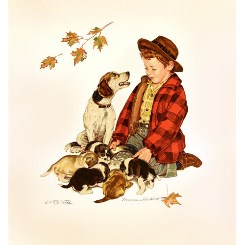 Boy And Dog: New Puppies