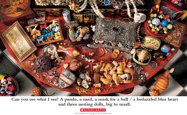 Can You See What I See?: Curiosity Shop