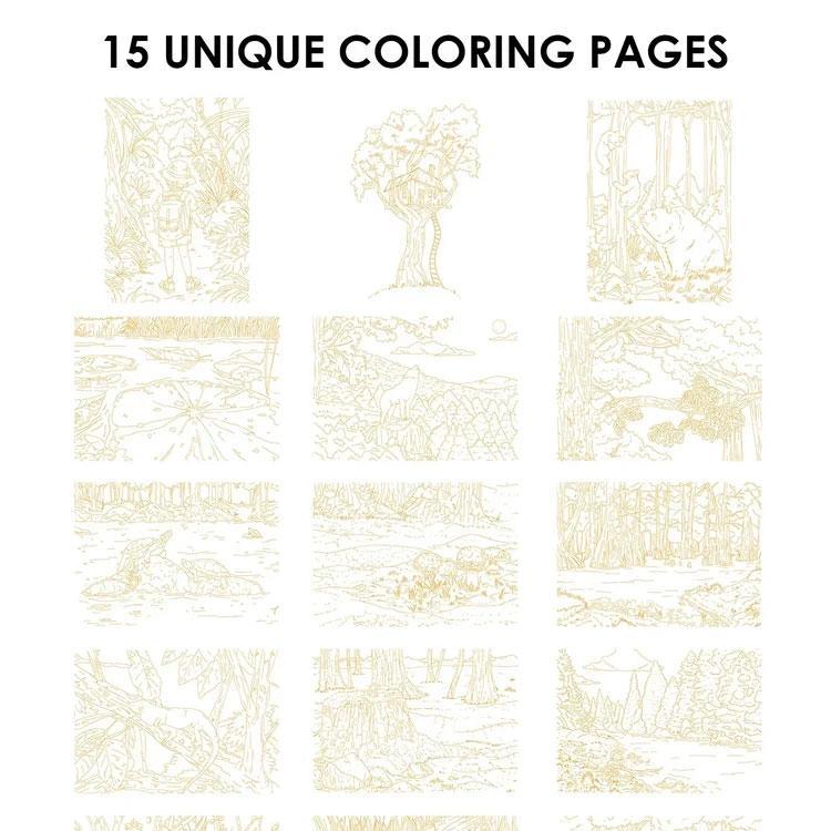 Forest-Themed Watercolor Coloring Club Box